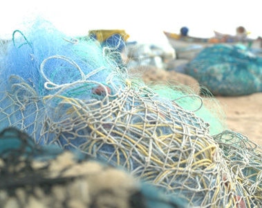 Envalior and Samsung Electronics work together to develop a smartphone made with recycled ocean-bound fishing nets