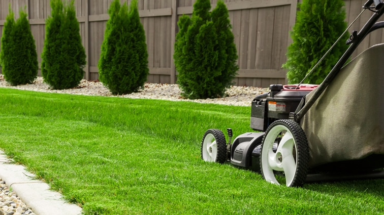 Photograph of lawn mower on the green grass. Mower is located on the left side of photograph with low angle view on grass field. 